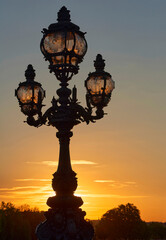 Fototapeta na wymiar Fragment of Alexander III Bridge at sunrise, Paris