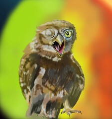 portrait of an owl
