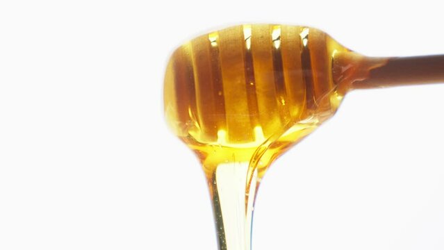 Honey dripping from wooden dipper at white background. Healthy food concept. Tasty honey flowing from wooden dipper scoop. Honey dripping from wooden honey spoon. Close-up in 4K, UHD