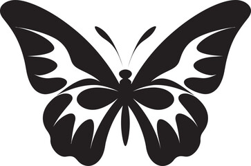 Butterfly Life Cycles Around the World The Psyche Butterfly A Mythical TaleThe Psyche Butterfly A Mythical Tale Butterfly Evolutionary Adaptations