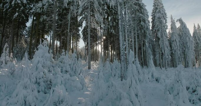 Aerial: Drone Forward Scenic Shot Of Snowfall In Tranquil Forest Against Sky - Oberhof, Germany