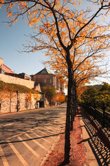 autumn in the city