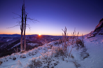 Krajobraz zimowy w górach, białe zaśnieżone drzewa i fioletowe niebo (Winter landscape in the...