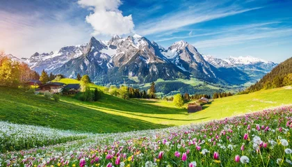 Fotobehang idyllic mountain landscape in the alps with blooming meadows in springtime © Irene