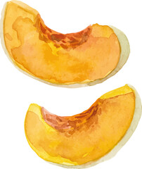 Watercolor painted pumpkin. Hand drawn fresh food design element isolated on white background.