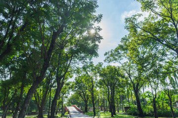 Jatujak(Chatuchak) public city park in Bangkok,Thailand