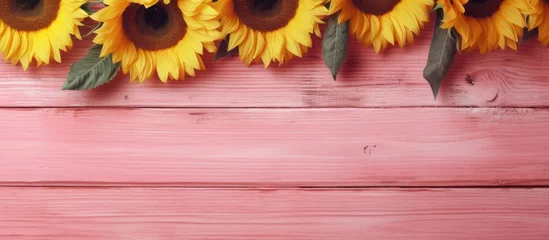 Fotobehang Copy space background. sunflowers on pink wood © Muhammad