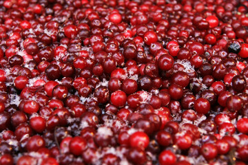 Russia. Saint-Petersburg. Frozen cranberries are sold at the fair.