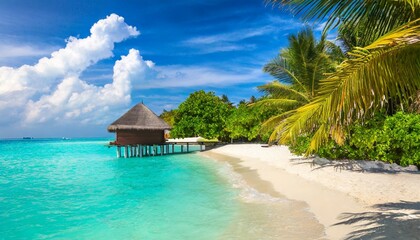tropical beach in the maldives - obrazy, fototapety, plakaty
