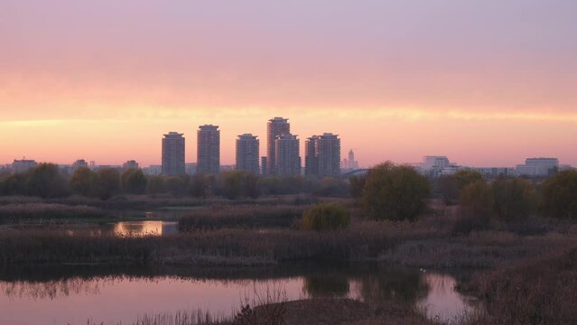 Bucharest tall buildings skyline with smog at Vacaresti Nature Park (Parcul Natural Vacaresti) wetlands, sunset timelapse with purple and pink colors.
