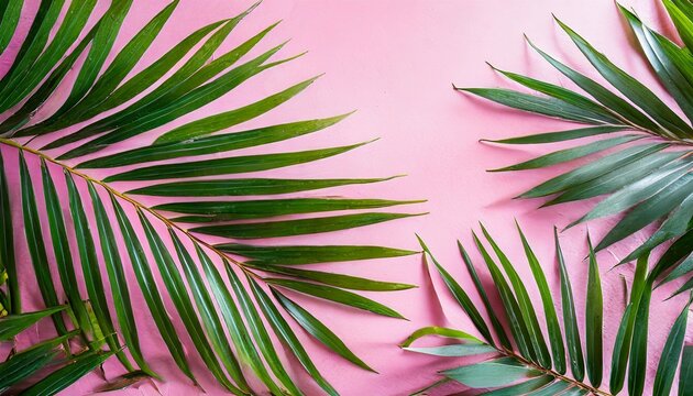 pink background with palm leaves