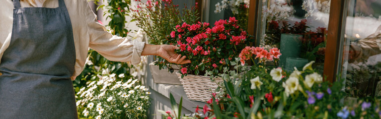Fototapeta na wymiar Female florist taking care of houseplant in flower shop. Plant care concept. High quality photo