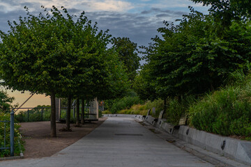 Beautiful sunset in the city park. Summer landscape with trees.