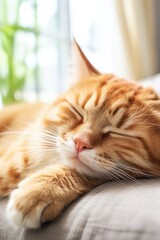 An orange and white cat sleeping on a couch. Generative AI.