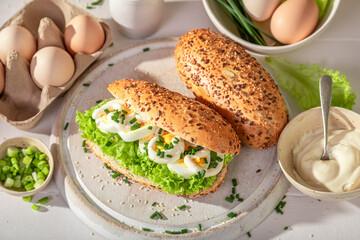 Fresh and tasty sandwich as vegan healthy breakfast. - obrazy, fototapety, plakaty