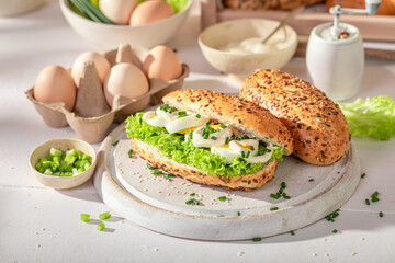 Tasty and homemade sandwich as vegan healthy breakfast.