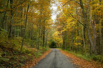 Fototapeta na wymiar Autumn Backroads