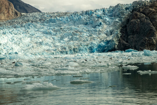 Sawyer Glacier; Tracy Arm; near Juneau, Alaska 