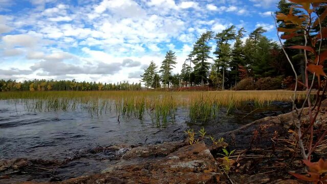 Lake Lila 202 Timelapse Wilderness Canoe New York