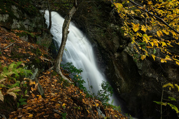 Autumn Waterfall