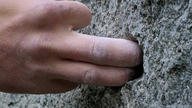 The Serene Touch of Humanity: A Hand Connecting with Nature's Ancient Solidity