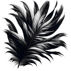 Textures of abstract black leaves, portraying a tropical concept with an artistic and abstract interpretation.