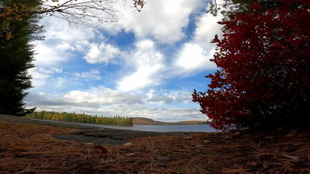 Lake Lila 206 Timelapse Wilderness Canoe New York