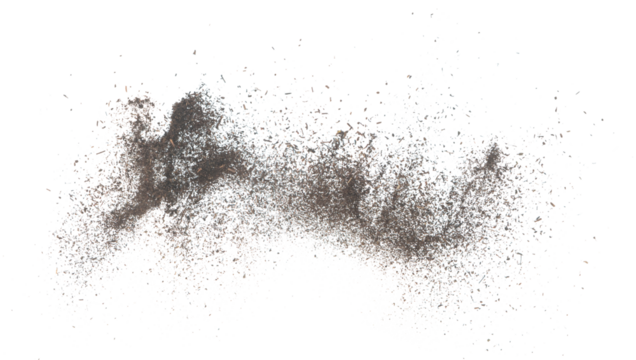 Black dried leave Tea explode. Small Fine size tea leaf flying explosion, Abstract cloud fly. Brown colored Teas splash throwing in Air. White background Isolated high speed shutter, throwing freeze