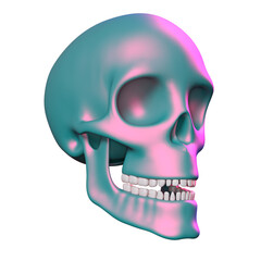 skull skeleton head isolated 3D render Ilustration