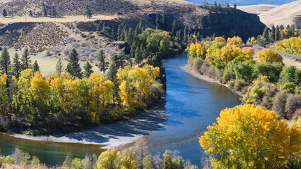 Yakima River winds through yellow trees in Kittitas County during fall