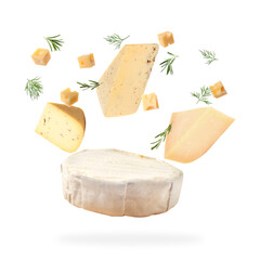 Different kinds of cheese and dill falling on white background