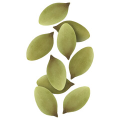 Peeled pumpkin seeds falling on white background