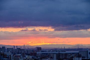 都市の夜明け。神戸の高台岡本梅林公演より神戸市街地と大阪市街地をのぞむ