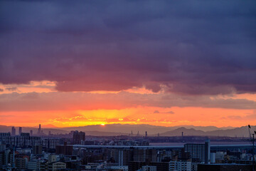 都市の夜明け。神戸の高台岡本梅林公演より神戸市街地と大阪市街地をのぞむ