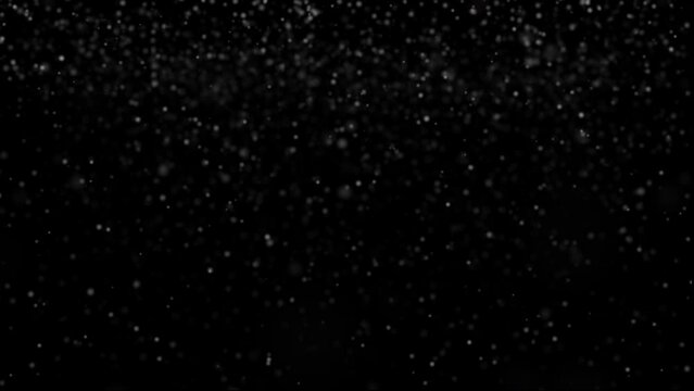 Snow flakes overlay Winter, slowly falling snow effect Dust particles seamless loop transparent background With alpha channel