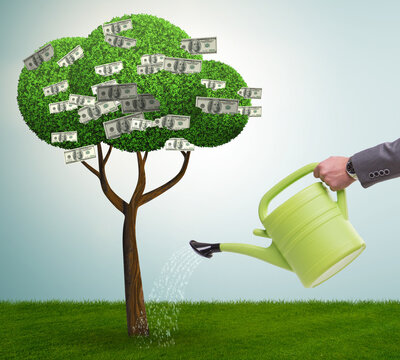 Businessman watering money tree in investment concept
