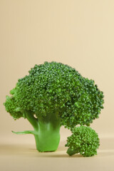 Fresh raw broccoli on beige background, closeup