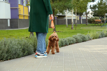 Woman with waste bag walking her cute dog in park, closeup