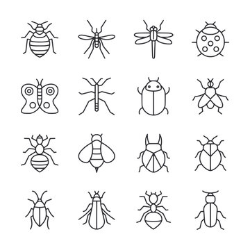 Set of Insect and bug icon for web app simple line design
