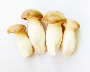 mushrooms on white background