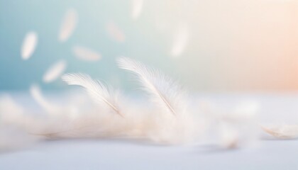 Soft feathers falling from the sky - obrazy, fototapety, plakaty