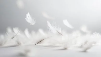 Fotobehang Soft feathers falling from the sky © fromage