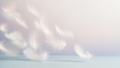 Soft feathers falling from the sky - obrazy, fototapety, plakaty