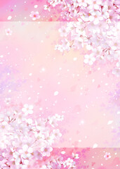 桜の背景素材　枠　桜吹雪　和風　お花見　入学　卒業　入園　卒園　入社　ひな祭り　雛祭り　縦長