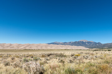 Fototapeta na wymiar Desert landscape of shrub grassland, sand dunes, and mountains under a clear blue sky; taken outside of Great Sand Dunes National Park in Colorado.