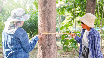 Young Asian boys are using a measure tape to measure a tree in a local park, soft and selective focus