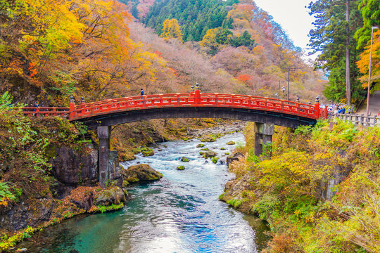 Japan-November 13, 2023 : Scenic Landscape of Shinkyo Bridge surrounding with Colorful maple trees in Autumn, Shinkyo bridge is one of most famous landmark of Nikko, Tochigi