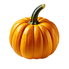 flat lay of pumkin isolated on white background