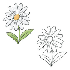 daisy flower drawing with line-art on white backgrounds. Simple Design Outline Style. You can give color you like. Vector Illustrations.