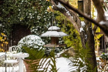 futter station f&uuml;r v&ouml;gel bei erstem schnee